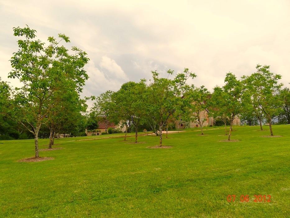 Mas Del Lum Bed & Breakfast Boussac  Bagian luar foto