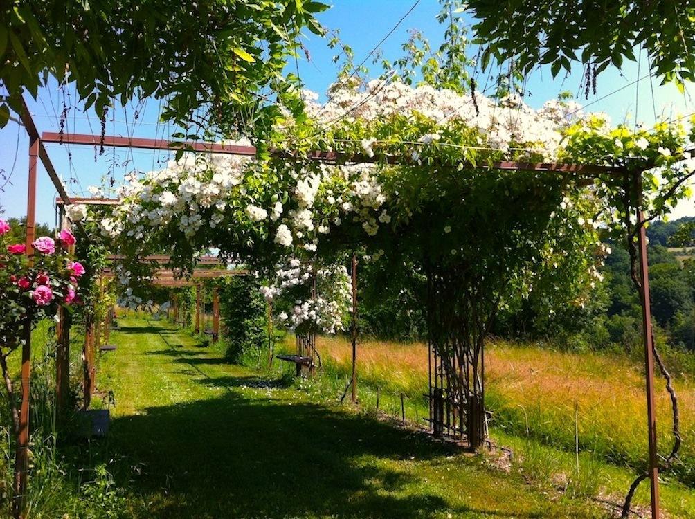 Mas Del Lum Bed & Breakfast Boussac  Bagian luar foto