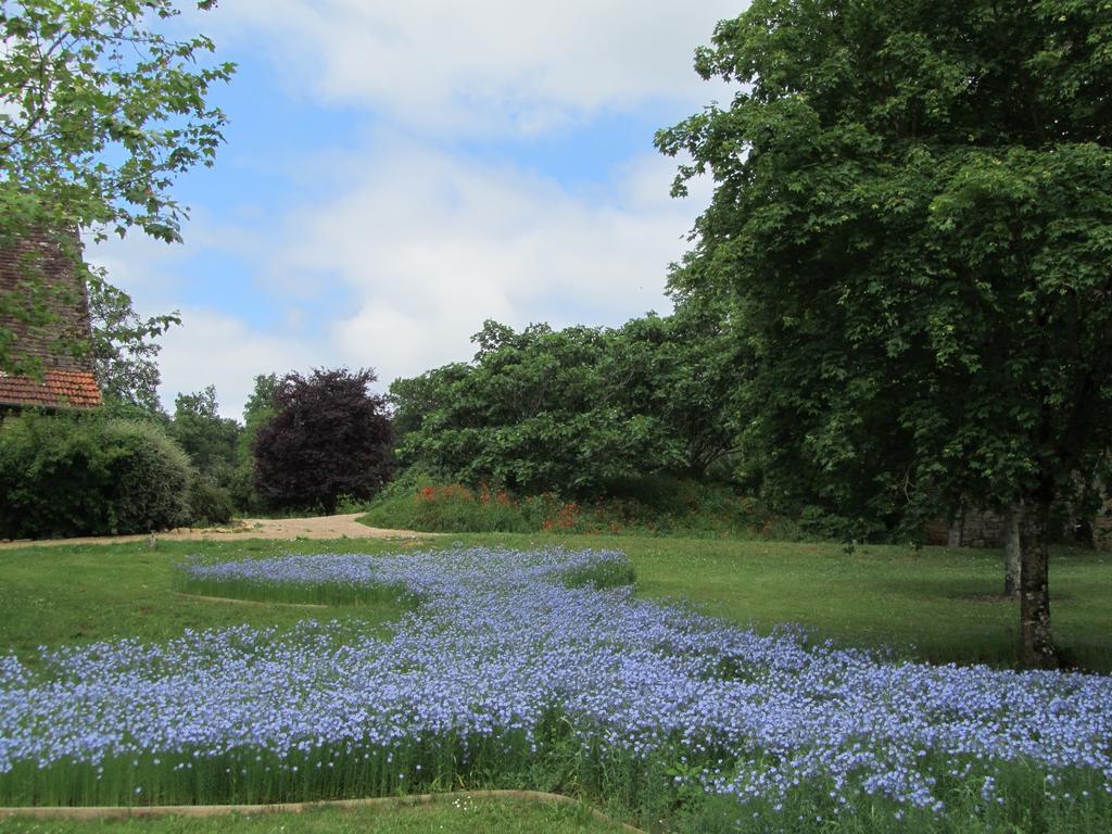 Mas Del Lum Bed & Breakfast Boussac  Bagian luar foto